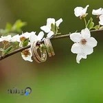 آتلیه ماه چهره