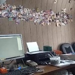 عکاسی تیموری