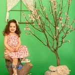 Aron photography studio استودیو عکاسی آرون