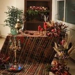 میم استودیو