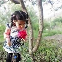 استودیو شهر فرنگ