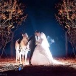 استودیو ملکه زیبا