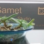 استودیو صامت