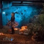 Hive Kids photography Studio