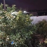 مطب دکتر جهان بین ،متخصص اعصاب