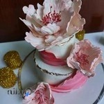 خانه کیک دزفول