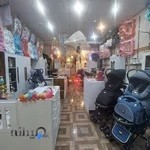 سیسمونی فلاطون