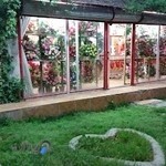 گل فروشی نادری