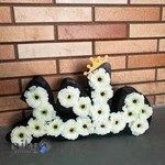 خانه گل کاکتوس