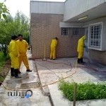 شرکت سم پاشی و موریانه زدایی( کیان صنعت دماوند )نمایندگی //شوشتر