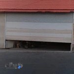 تخلیه بار کویر خراسان