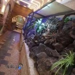 کافه رستوران سولو