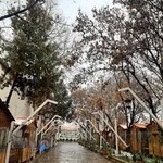 رستوران سنتی هزارویک شب