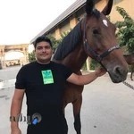 نقاشی اتومبیل پاسارگاد