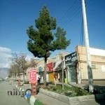 اتوموبیل تیکاف