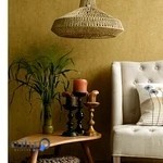 دکتر ملانوروزی