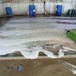 قالیشویی فضل