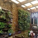 پیتزا پارتی