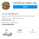 باشگاه تنفس سبز