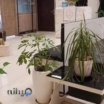 کراتین پرنیل