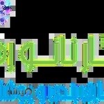 شرکت ماندگار نانو