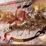 آتلیه مهر و ماه