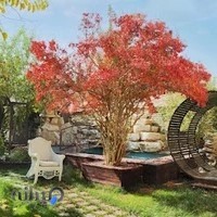 استودیو ناهید