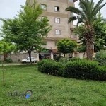 فروشگاه ورزشی سام