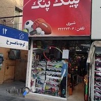 لوازم ورزشی پینگ پنگ