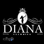 فروشگاه لوازم کوهنوردی دیانا (انتظاری)