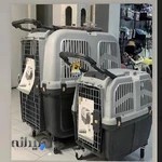 پت شاپ ماهان