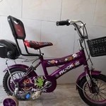 دوچرخه سازی امیر