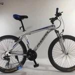 فروشگاه دوچرخه اخوان هاشمی