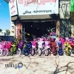 دوچرخه حرفه ای