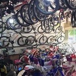 سید سعید طباطبایی