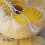 لوازم صیادی و تجهیزات دریایی شاکری