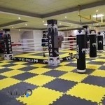 باشگاه مشت آهنین