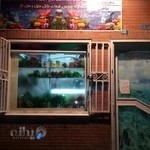 آکواریوم اقیانوس