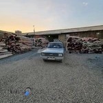 قالیشویی ترنج