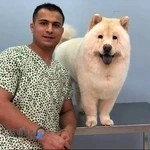 آرایشگاه حیوانات رسول فرجی