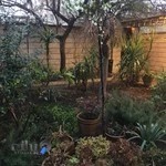 آموزشگاه موسیقی سعدی