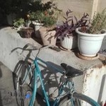 Genral Service Car Repair Shop Of Narmak