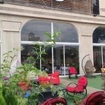 آقای مبل گرگان