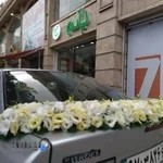 گل و گیاه پالم