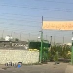 بازار گل و گیاه اریافر