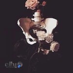 فیزیوتراپی تخصصی کف لگن پاسارگاد(دکترمیری)