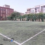 زمین چمن گسترش اروند