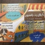 پانسیون حیوانات خانگی گیلان پت