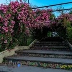 خانه بازی و شهر مشاغل شکلات