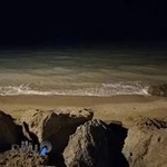 آداک گستر قشم